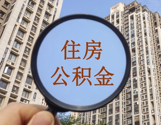 定边退休后查不到公积金明细了吗（退休后公积金查询不到原因）